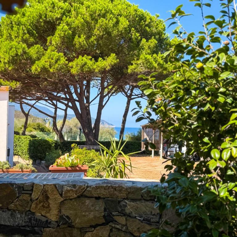 Appartamenti Biodola Mare - HelloElba - Appartement 2 Chambres - 15