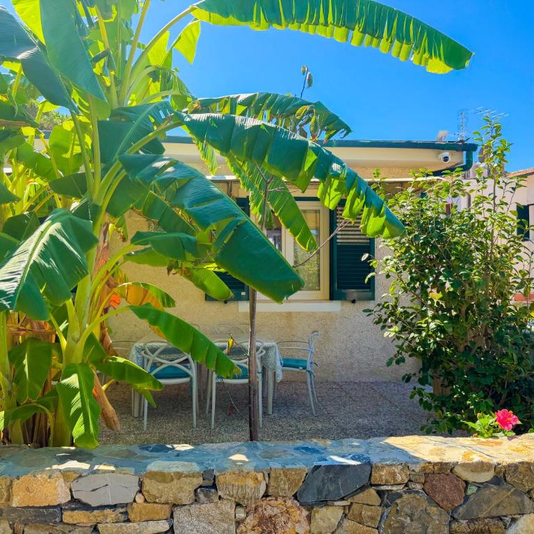 Appartamenti Biodola Mare - HelloElba - Appartement 2 Chambres - 1