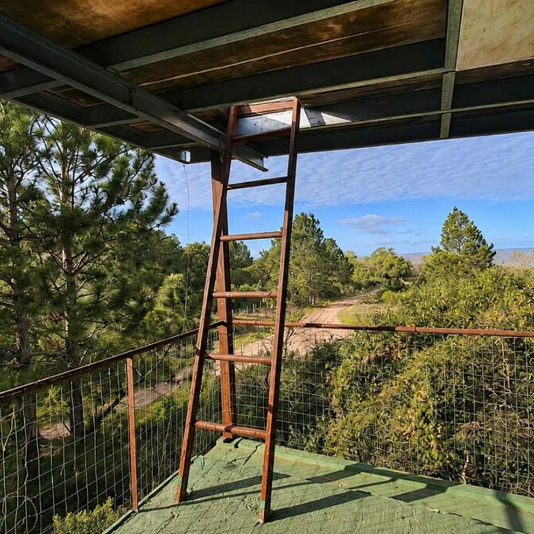 Los Pinos - Apartamento de 2 dormitorios - 12