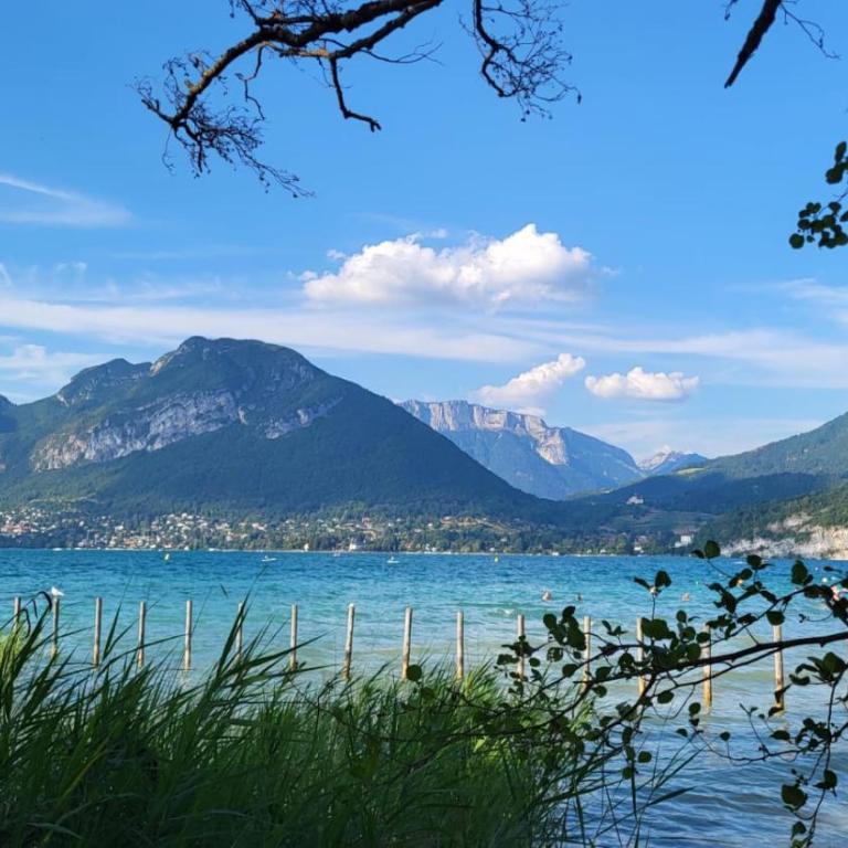 Les Glycines Spacieux appartement 6 pers avec Jardin à 200m du Lac - Apartment mit 3 Schlafzimmern - 42