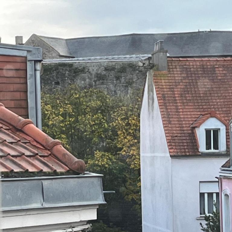 Maison conviviale aux abords de la vieille ville - Maison 5 Chambres - 12