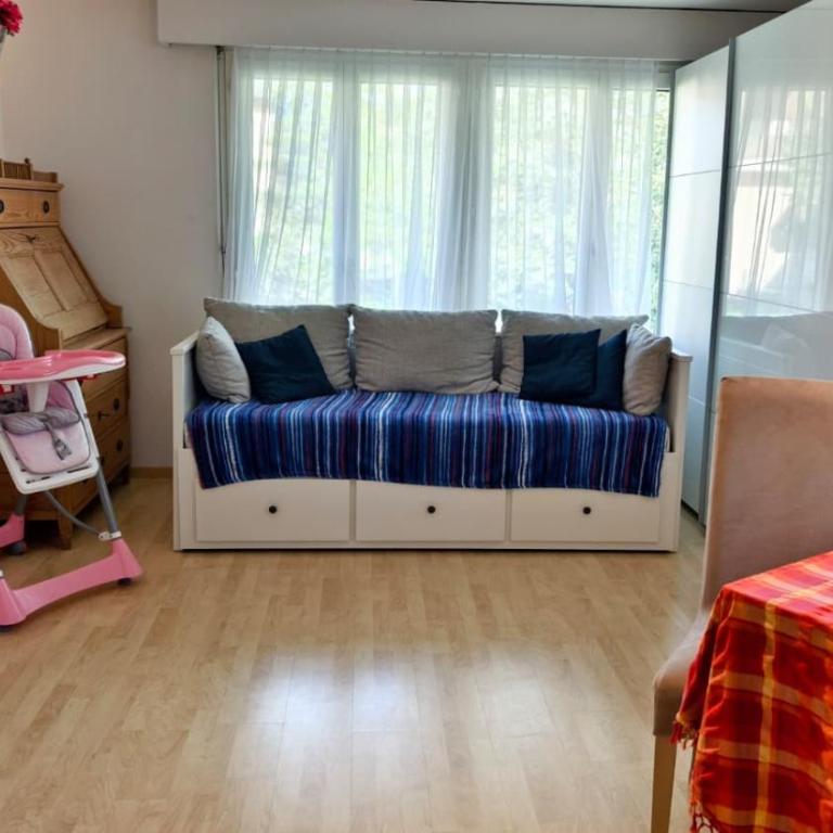 Heimelige Wohnung in Engelberg - One-Bedroom Apartment with Terrace - 2