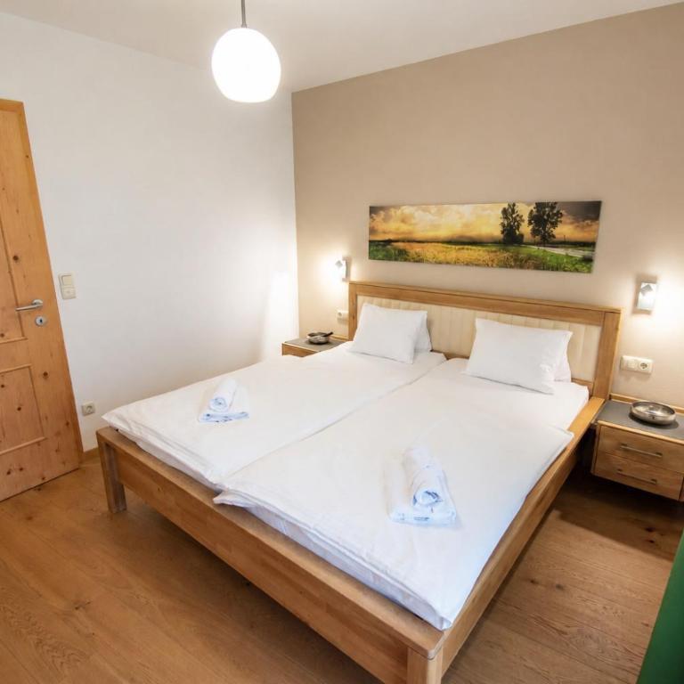 Alpenapartments Embach - Wascherwirt - - Appartement 2 Pièces - 6