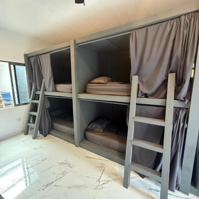 Drift Diving Hostel - Cama en habitación compartida mixta de 8 camas - 3