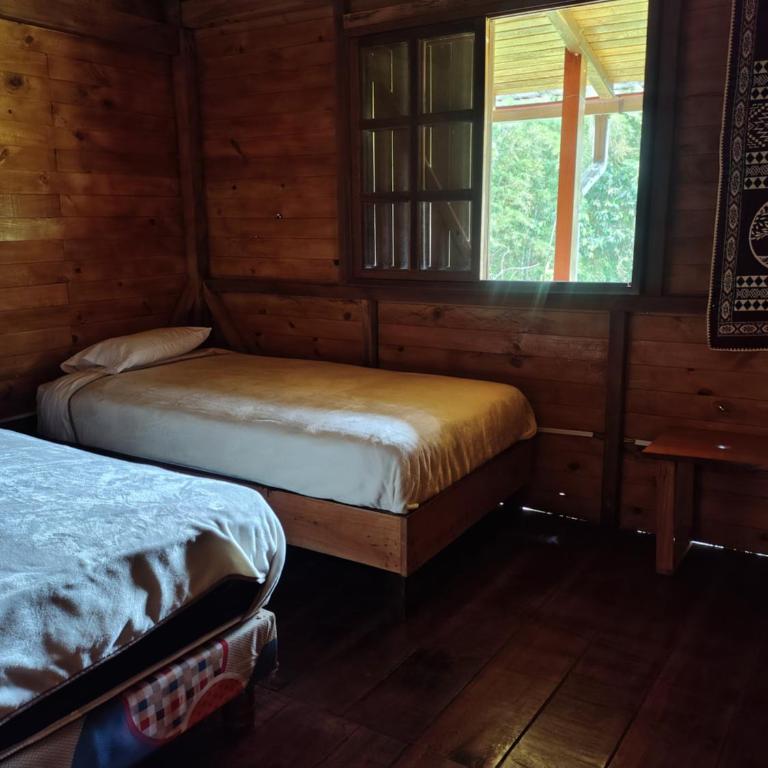 Mindo Sun LODGE - Apartamento - 11