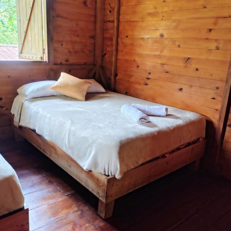 Mindo Sun LODGE - Apartamento - 25