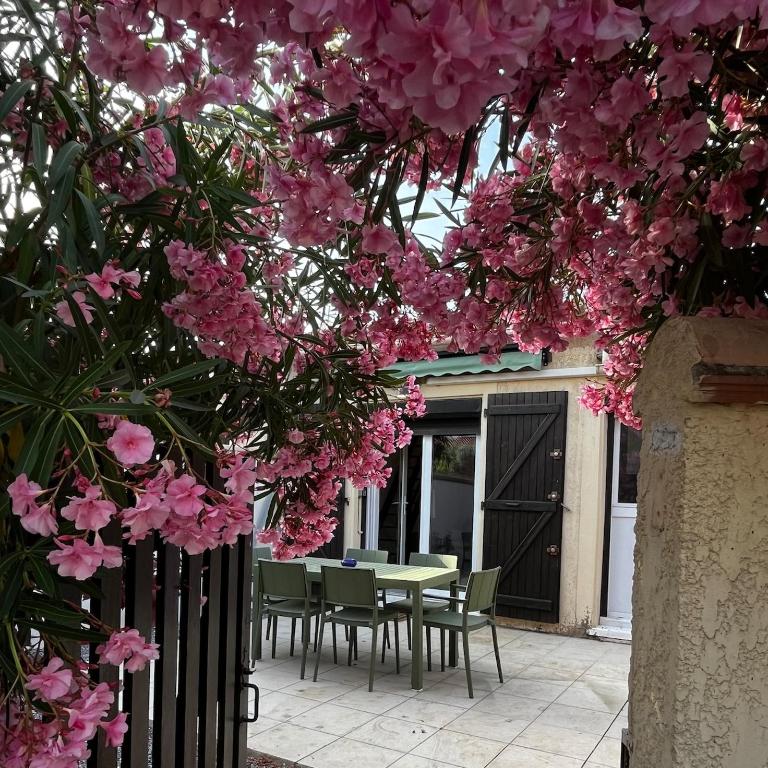 Villa avec jardin proche plage - Two-Bedroom House - 1