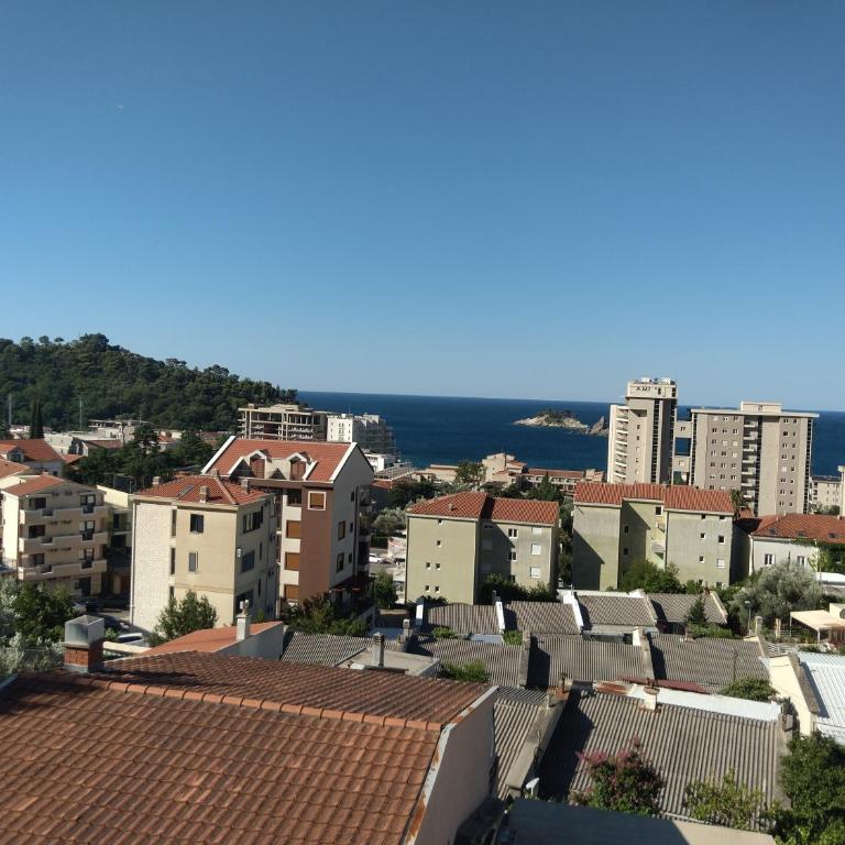 Villa Petrovac Guesthouse Rooms - Deluks Dvokrevetna Soba sa Zasebnim Krevetima - 31