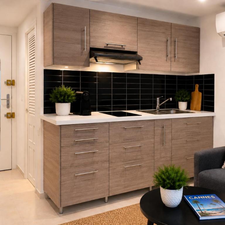 Studette Cannes Croisette Martinez Area - Studio Standard - 3