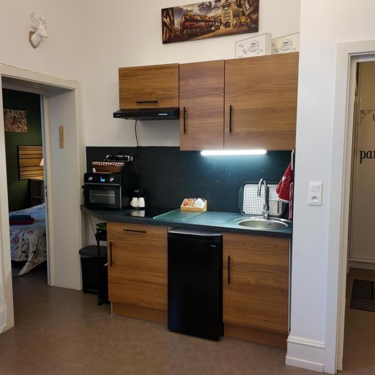 Coeur d'elsass Centre Ville avec parking - Appartement - Rez-de-Chaussée - 41
