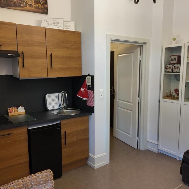 Coeur d'elsass Centre Ville avec parking - Appartement - Rez-de-Chaussée - 10