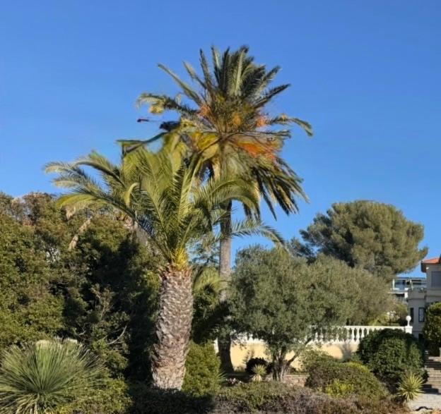 Villa 10 mn on foot from beaches, TGV station and city center with swimming pool - Villa - 20