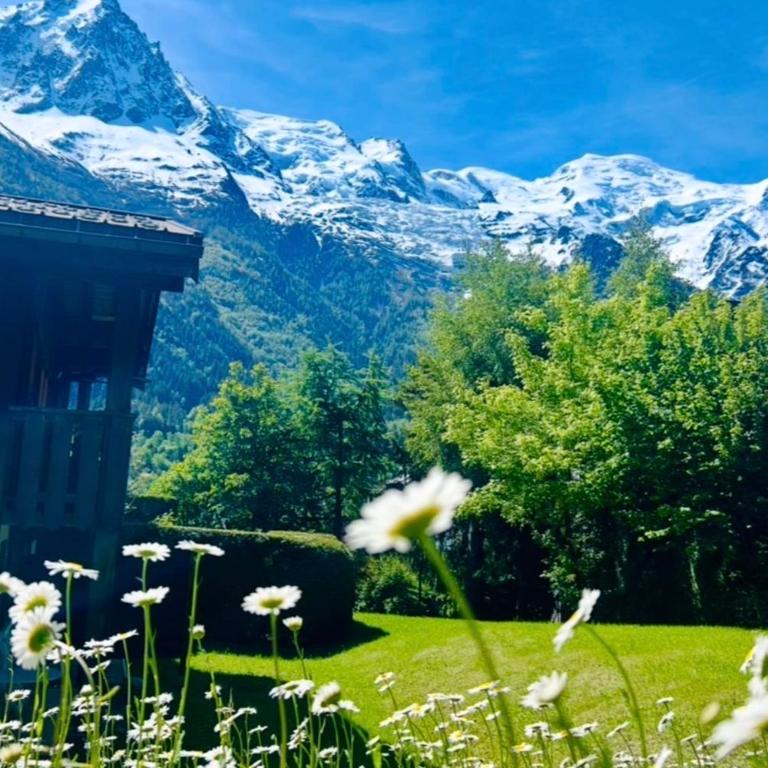 Cozy with garden parking and Mont-Blanc view - Apartment - 23