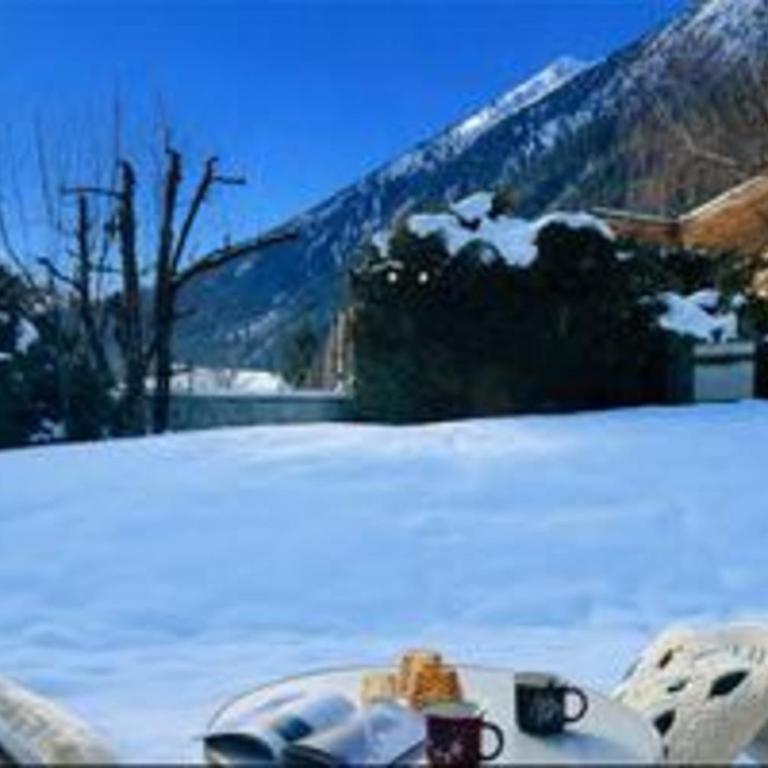 Cozy with garden parking and Mont-Blanc view - Apartment - 39