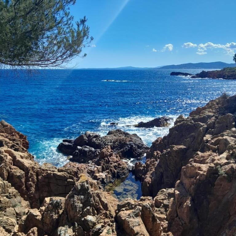 Villa 10 mn on foot from beaches, TGV station and city center with swimming pool - Villa - 38