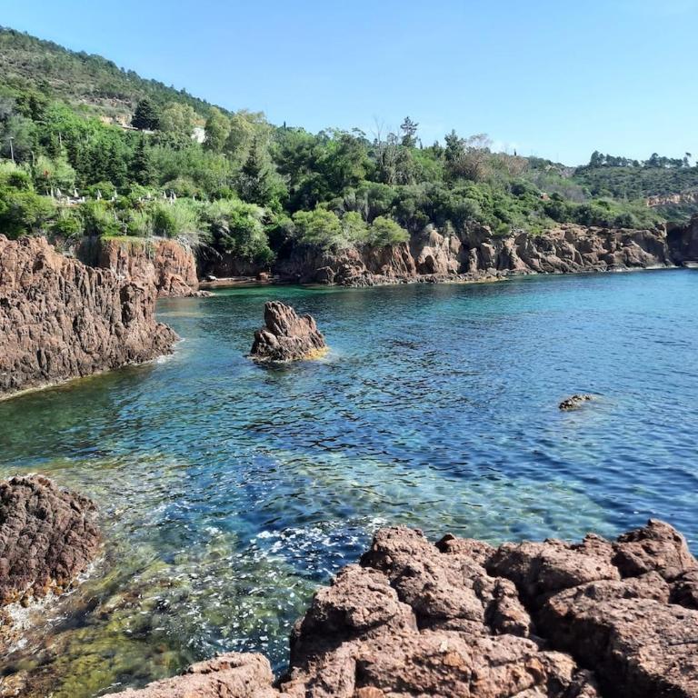Villa 10 mn on foot from beaches, TGV station and city center with swimming pool - Villa - 41