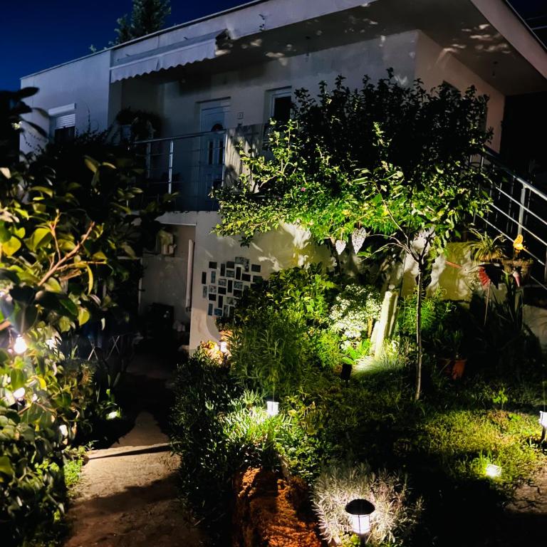 Apartments Amijova - Apartman sa 1 Spavaćom Sobom - 17