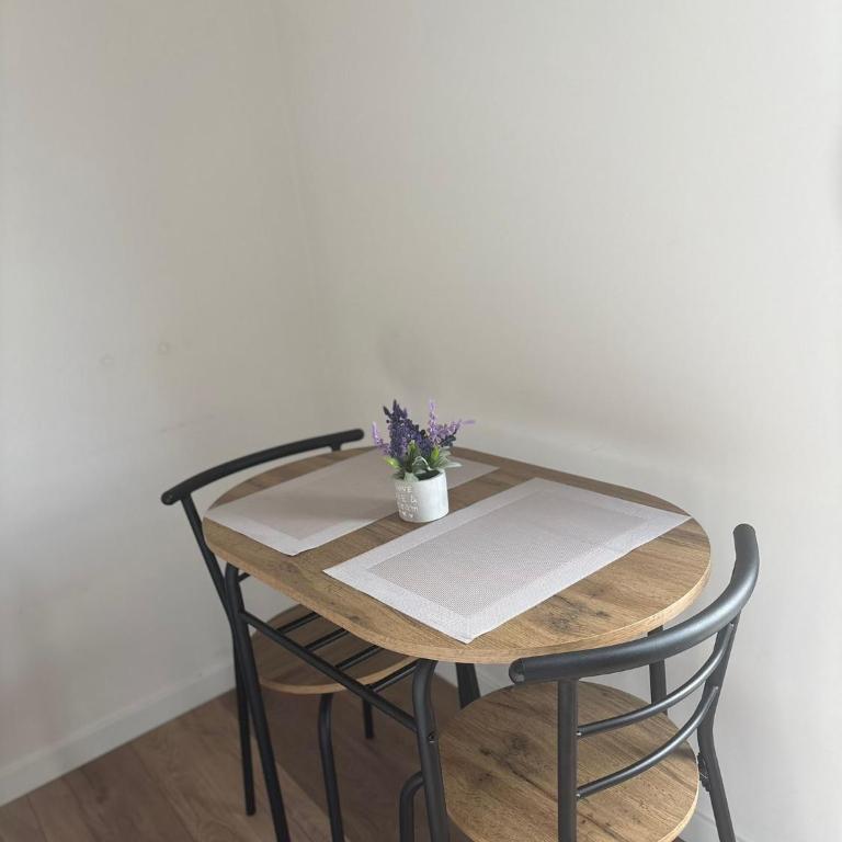 City Centar Apartment with Terrace - Apartman sa 1 Spavaćom Sobom - 9