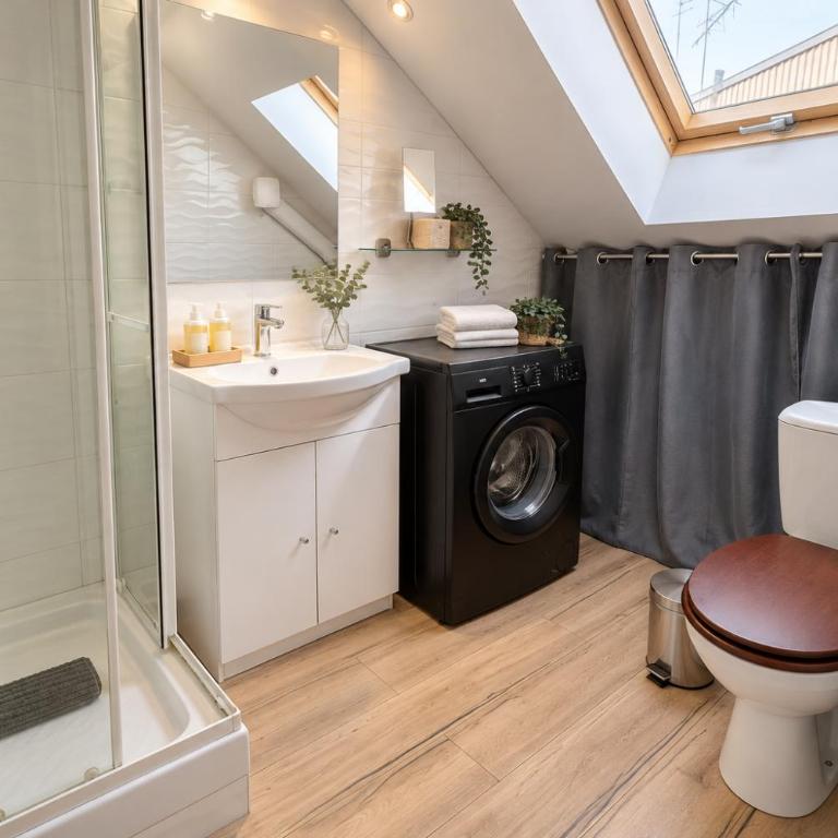 Appart cosy mansardé, Dijon centre, animaux acceptés - Apartamento de 2 dormitorios - 3
