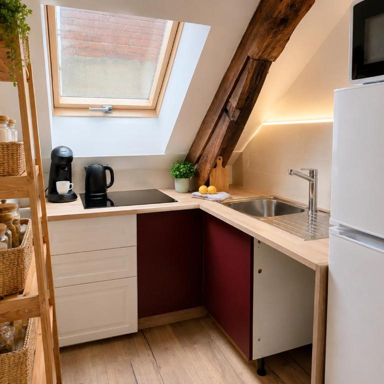 Appart cosy mansardé, Dijon centre, animaux acceptés - Apartamento de 2 dormitorios - 4