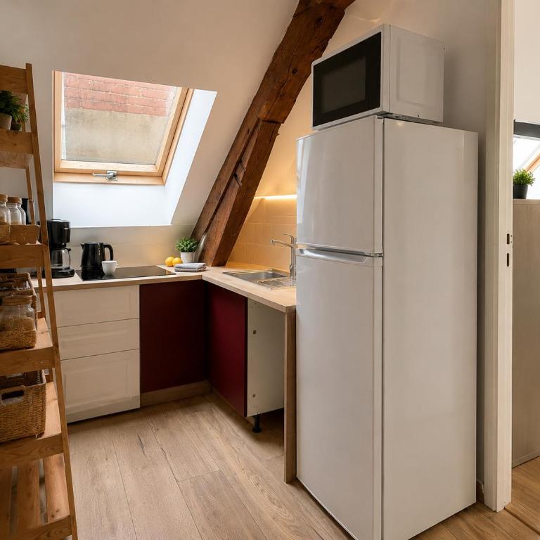 Appart cosy mansardé, Dijon centre, animaux acceptés - Apartamento de 2 dormitorios - 8