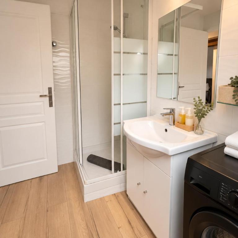 Appart cosy mansardé, Dijon centre, animaux acceptés - Apartamento de 2 dormitorios - 9