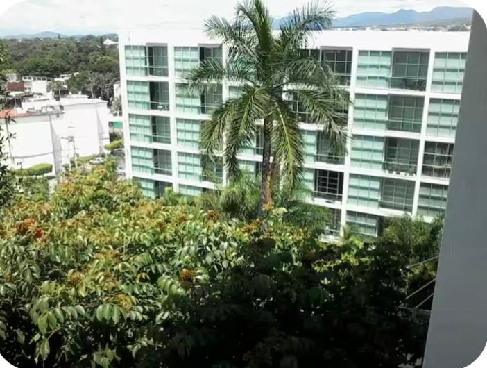 Hermoso y céntrico loft - Apartamento Deluxe de 1 dormitorio con vistas al jardín - 8