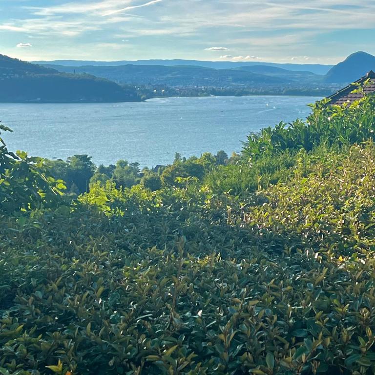 La Merle Rez-de-jardin Vue extraordinaire Lac Annecy - Climatisation - Appartement - Vue sur Lac - 19