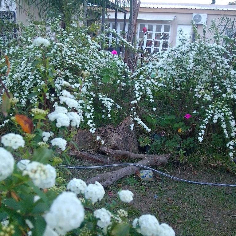 Caralíhome - Casa - 34