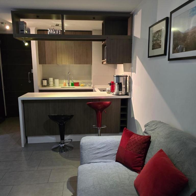 Departamento de 2 dormitorios frente a Parque Araucano - Two-Bedroom Apartment - 18