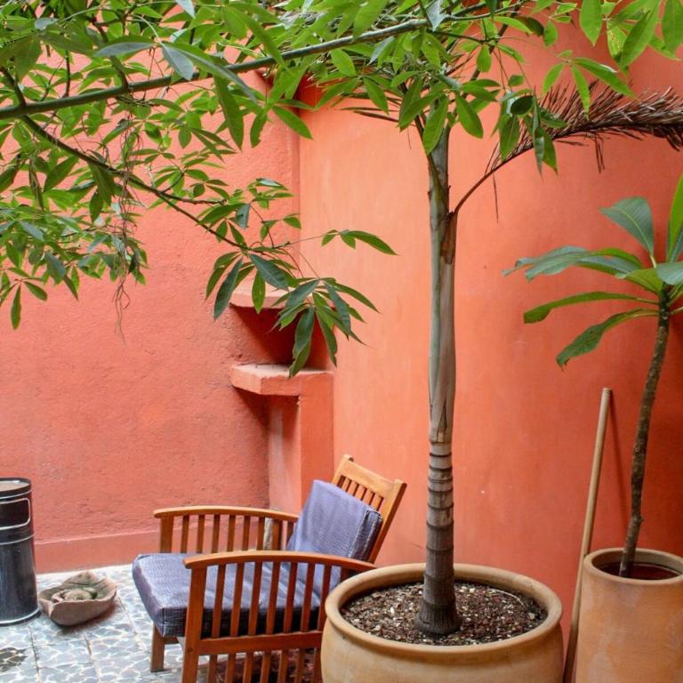 Departamento Plata con Cocineta en Centro Historico Oaxaca - Apartamento de 2 dormitorios - 7
