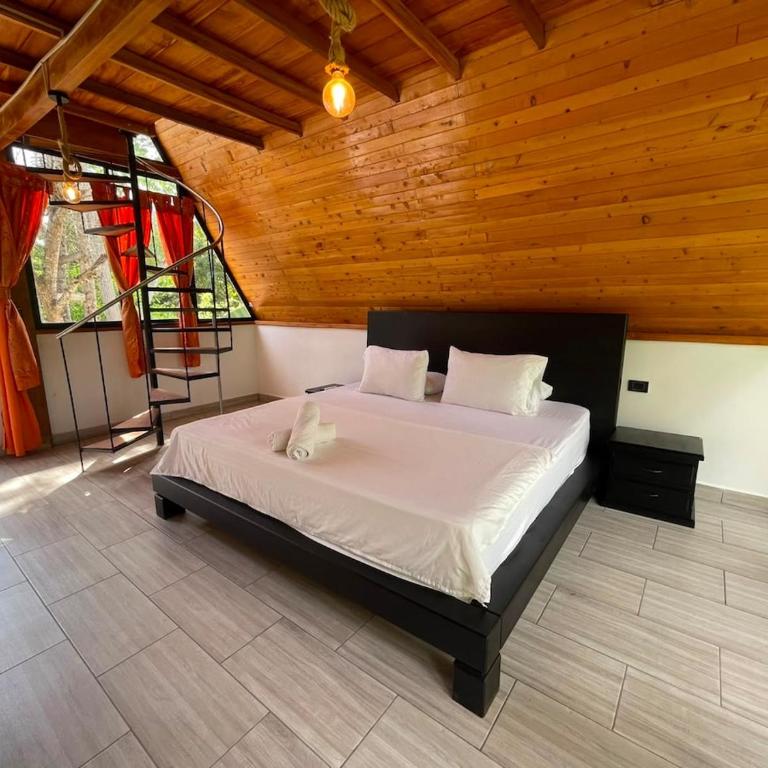 Finca Monteverde en Doradal Piscina jacuzzi y naturaleza hasta 30 personas - Vacation Home - 19