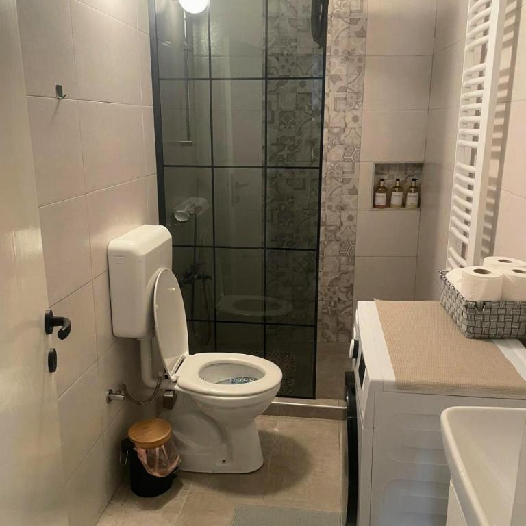 Sarajevo Cozy Attic and Backyard apartment - Apartman - Prizemlje - 7