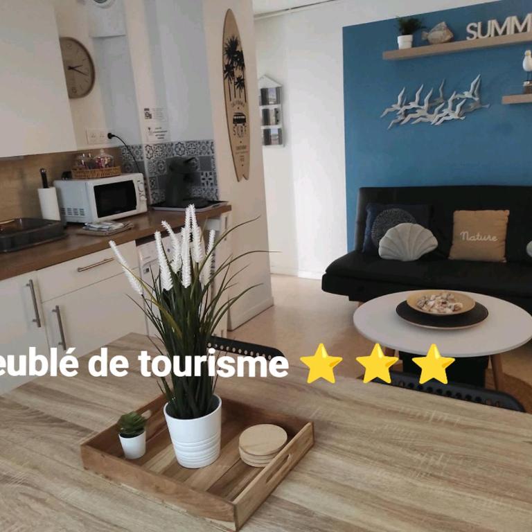 Le petit moussaillon Meublé de tourisme 3 étoiles - Appartement 1 Chambre - 1