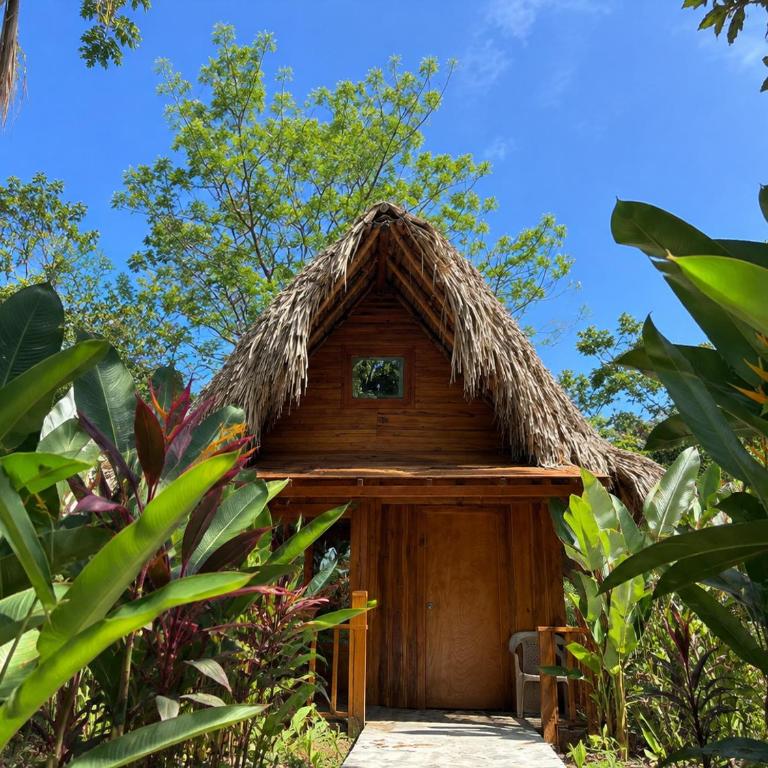 Zirumake Tayrona Dentro del Parque Tayrona - Bungalow Deluxe con vistas al jardín - 13