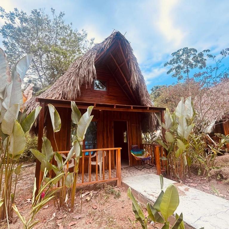Zirumake Tayrona Dentro del Parque Tayrona - Bungalow Deluxe con vistas al jardín - 14