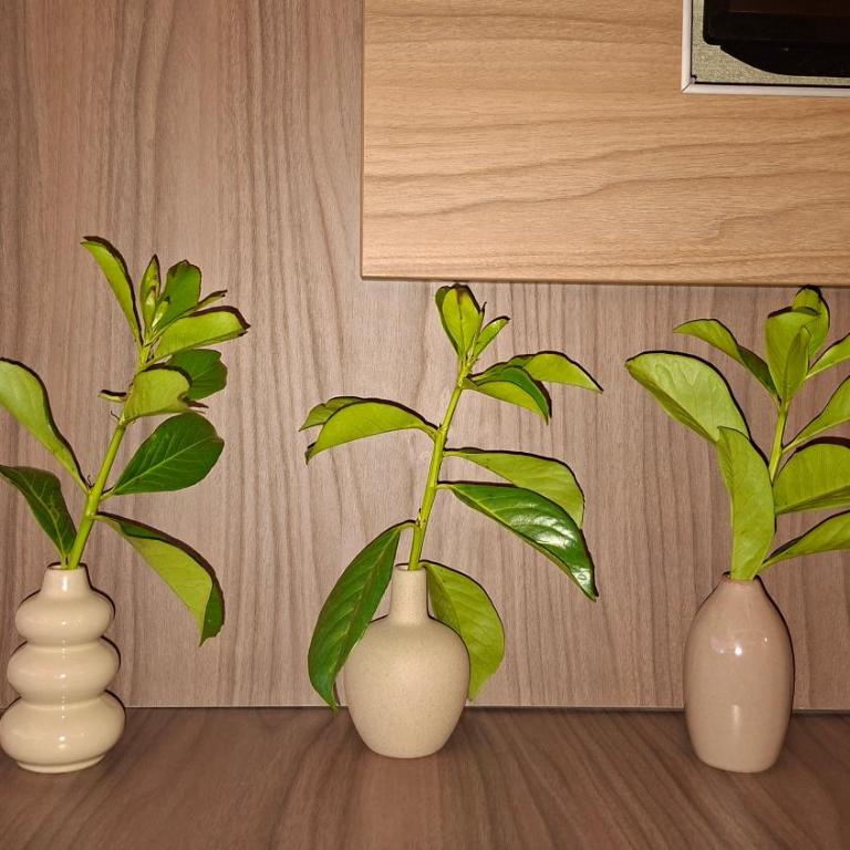 Apartmani Eleganza & La Vista - Deluxe Apartment - 26