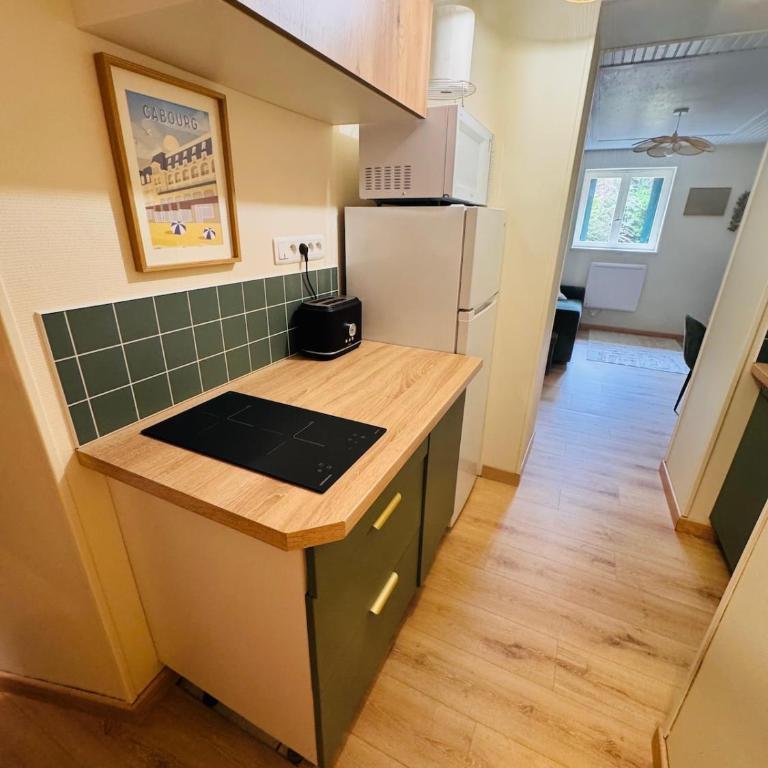 Centre de Cabourg, Grand jardin, 350 m plage - Appartement 1 Chambre - 10