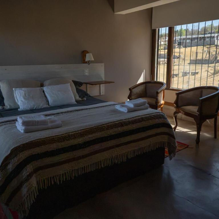 Puro Campo - One-Bedroom House - 3