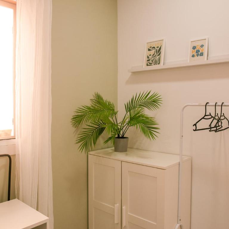 Casa Capitan Coliving Coworking Digital Nomads - Habitación individual con aseo compartido - 5