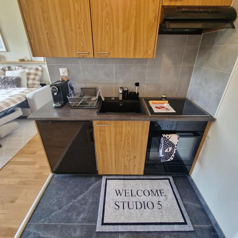 Studio proche de tout avec magnifique vue - Appartement 1 Chambre - 13