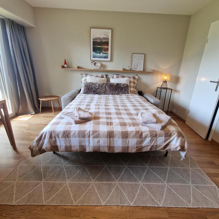 Studio proche de tout avec magnifique vue - Appartement 1 Chambre - 14