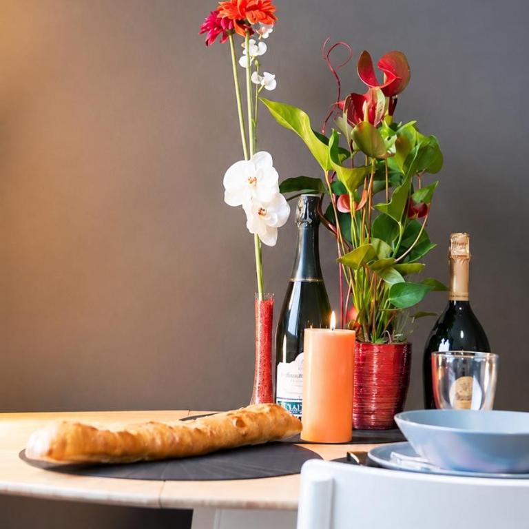 ONE NIGHT in LYON - UNE NUIT à LYON - One-Bedroom Apartment - 11