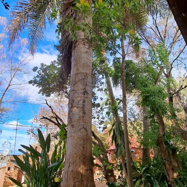 Casa a 50 m de la playa y 300 m de Termas San José - Casa de 3 dormitorios - 23