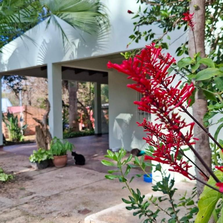 Casa a 50 m de la playa y 300 m de Termas San José - Casa de 3 dormitorios - 24