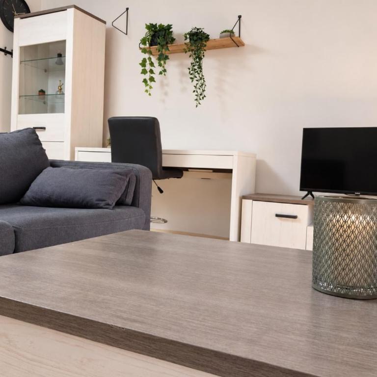Le Nid Cosy au cœur de Nancy - Appartement 1 Chambre - 6