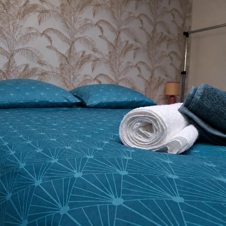 Le Nid Cosy au cœur de Nancy - Appartement 1 Chambre - 7