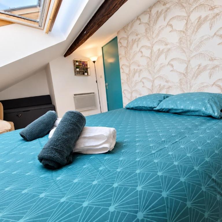 Le Nid Cosy au cœur de Nancy - Appartement 1 Chambre - 11