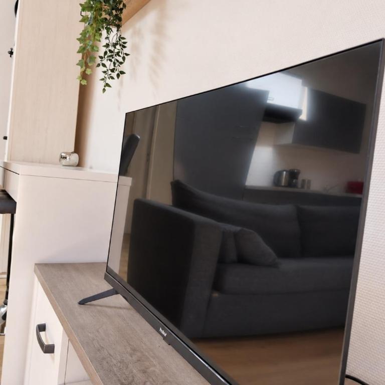 Le Nid Cosy au cœur de Nancy - Appartement 1 Chambre - 17