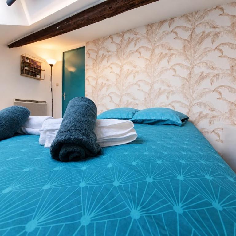 Le Nid Cosy au cœur de Nancy - Appartement 1 Chambre - 19
